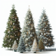 Christmas Trees Christmas Trees