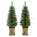 Holiday Time 2-count Pre-lit Pre-lit 3.5 Foot Artificial Porch Christmas Trees Holiday Time 2-count Pre-lit Pre-lit 3.5 Foot Artificial Porch Christmas Trees
