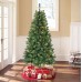 Holiday Time Paxton 6.5' Pre-lit Led ( Colors Changing Lights) Christmas Tree Holiday Time Paxton 6.5' Pre-lit Led ( Colors Changing Lights) Christmas Tree