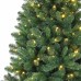 Holiday Time Paxton 6.5' Pre-lit Led ( Colors Changing Lights) Christmas Tree Holiday Time Paxton 6.5' Pre-lit Led ( Colors Changing Lights) Christmas Tree
