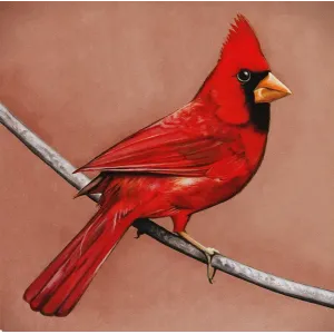 Old Crows Young Cardinals (Alexisonfire, 2009, 11 tracks), Music CD
