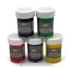 Stain Glass Art Painting Set 5 Colours 20ml Bottles Red Blue Green Yellow Black