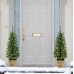 Holiday Time 2-count Pre-lit Pre-lit 3.5 Foot Artificial Porch Christmas Trees