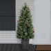 Holiday Time 4' Pre-lit Cashmere Berry Porch Potted Christmas Tree (3 X D Batt)