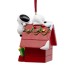 Hallmark Christmas Ornament Peanuts Snoopy On Holiday Doghouse