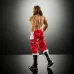 Mattel WWE Elite Collection Sami Zayn Action Figure with Accessories