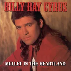 Storm In The Heartland (Billy Ray Cyrus, Unknown, 1994, Dolby Cassette)