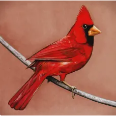 Old Crows Young Cardinals (Alexisonfire, 2009, 11 tracks), Music CD