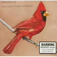 Old Crows Young Cardinals (Alexisonfire, 2009, 12 tracks), Music CD